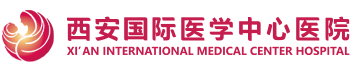 西安国际医学院